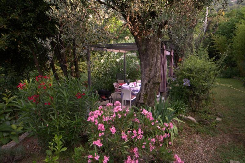 Bastide De La Lauve Bed and Breakfast Magagnosc Buitenkant foto