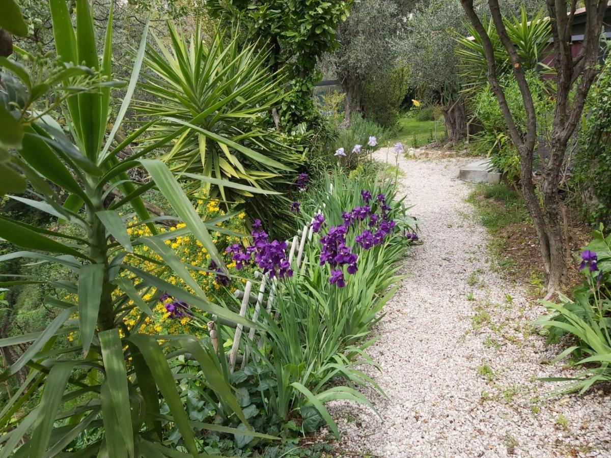 Bastide De La Lauve Bed and Breakfast Magagnosc Buitenkant foto
